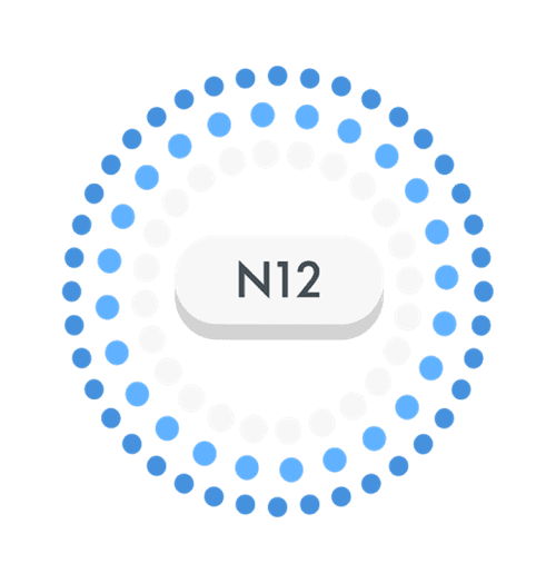 N 12